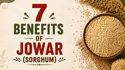 7 Benefits of Jowar (Sorghum)