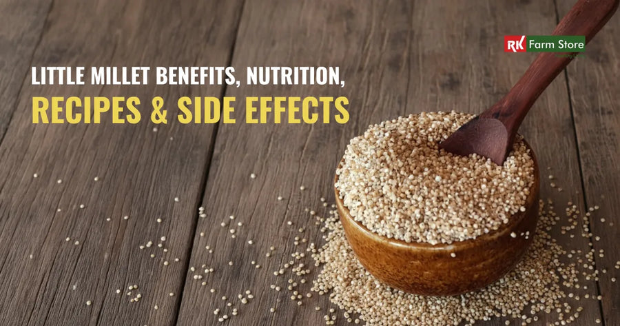 Little Millet Benefits, Nutrition, Recipes & Side Effects