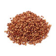 Red Sorghum