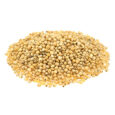 Yellow Sorghum